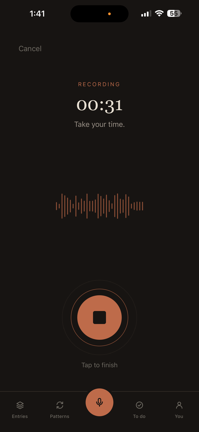 The recording screen: a timer, the words Take your time, and one clay record button